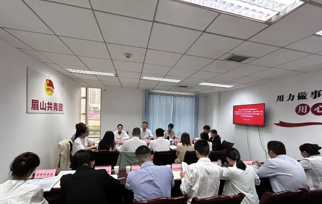 團市委、市青聯、市少工委召開學習貫徹習近